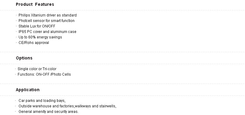40W 120 degree Led Wall Mounted Lamp for EU market